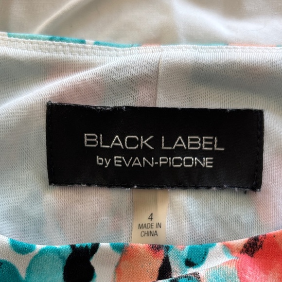 Copy Coral and Turquoise Sleeveless Dress size 4 - Picture 4 of 6